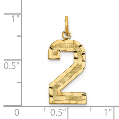 14k Yellow Gold Large Brushed Diamond-cut Number 2 Charm