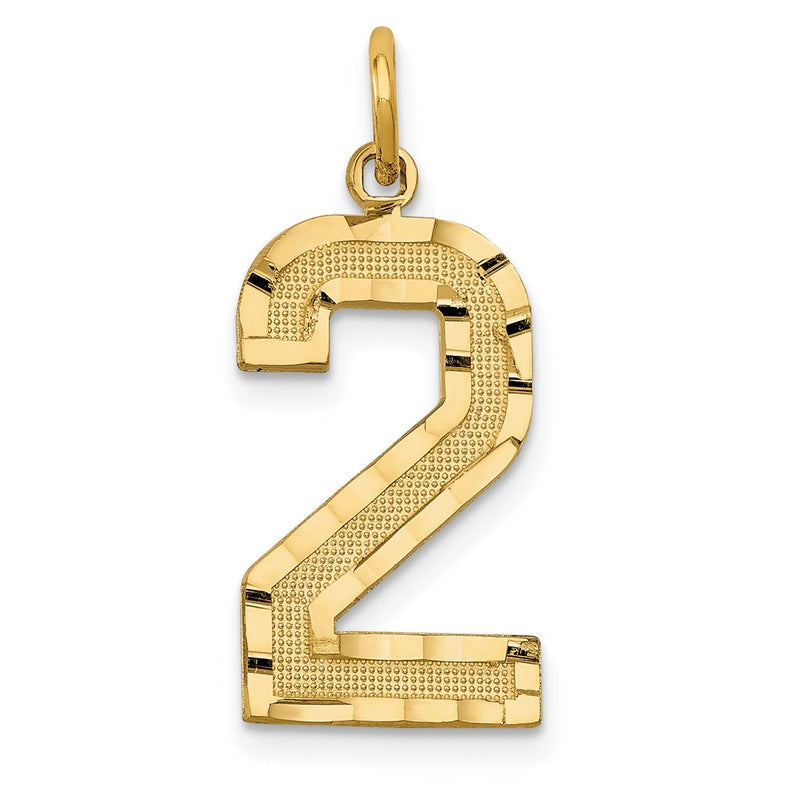 14k Yellow Gold Large Brushed Diamond-cut Number 2 Charm