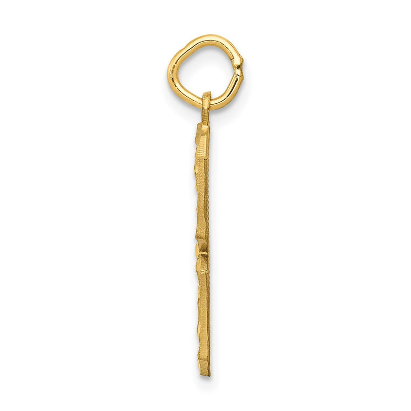 14k Yellow Gold Large Brushed Diamond-cut Number 3 Charm