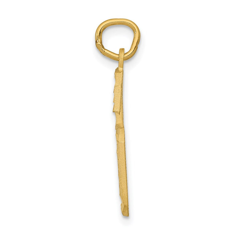 14k Yellow Gold Large Brushed Diamond-cut  Number 6 Charm