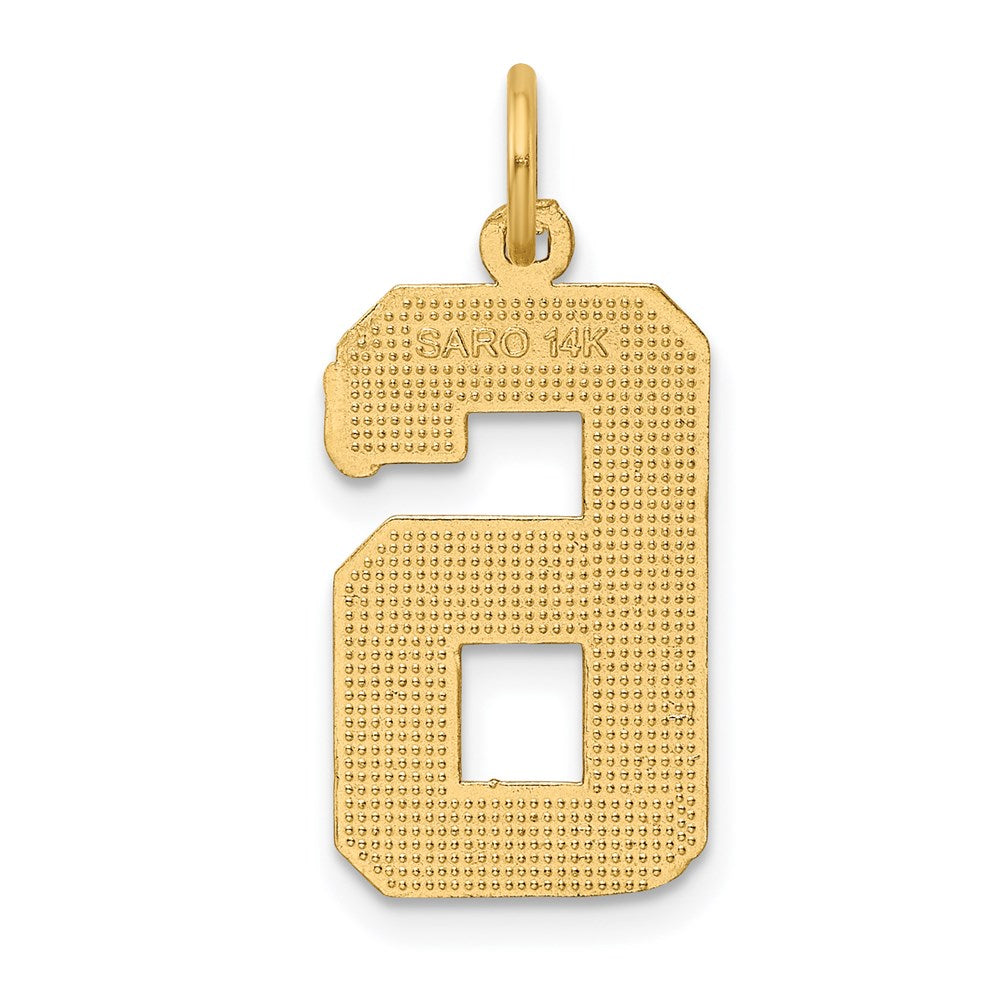 14k Yellow Gold Large Brushed Diamond-cut  Number 6 Charm