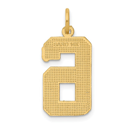 14k Yellow Gold Large Brushed Diamond-cut  Number 6 Charm
