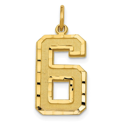 14k Yellow Gold Large Brushed Diamond-cut  Number 6 Charm