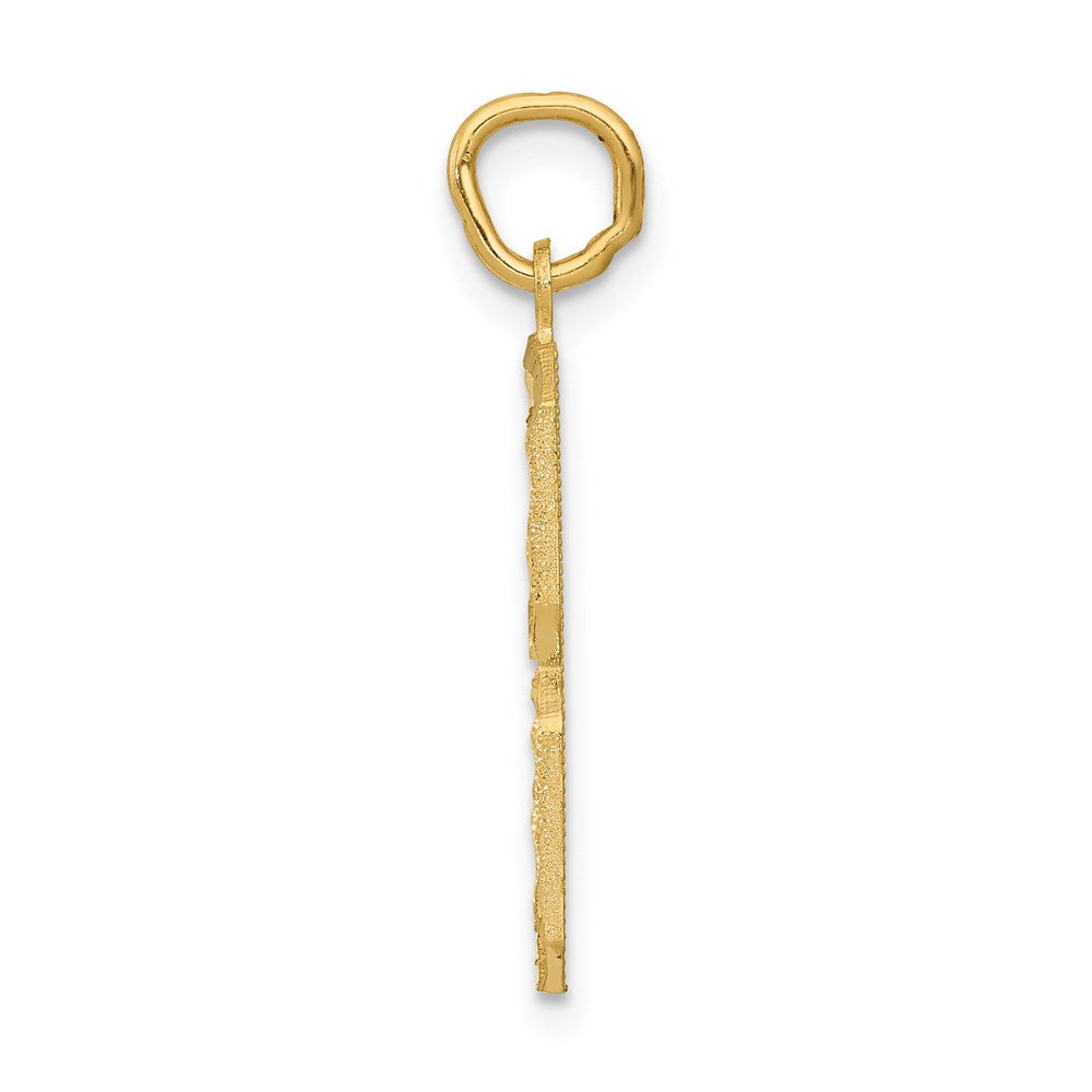 14k Yellow Gold Large Brushed Diamond-cut  Number 8 Charm