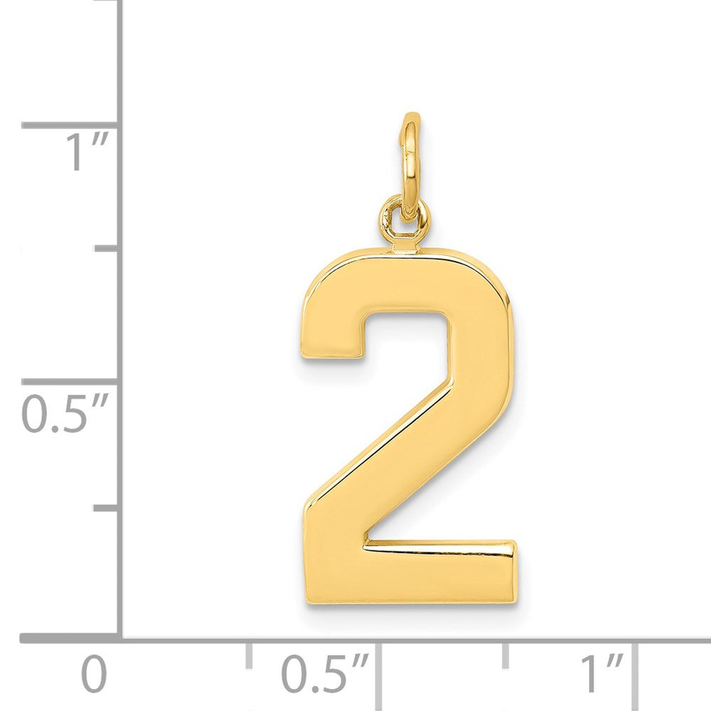 14k Yellow Gold  Large Polished Number 2 Charm