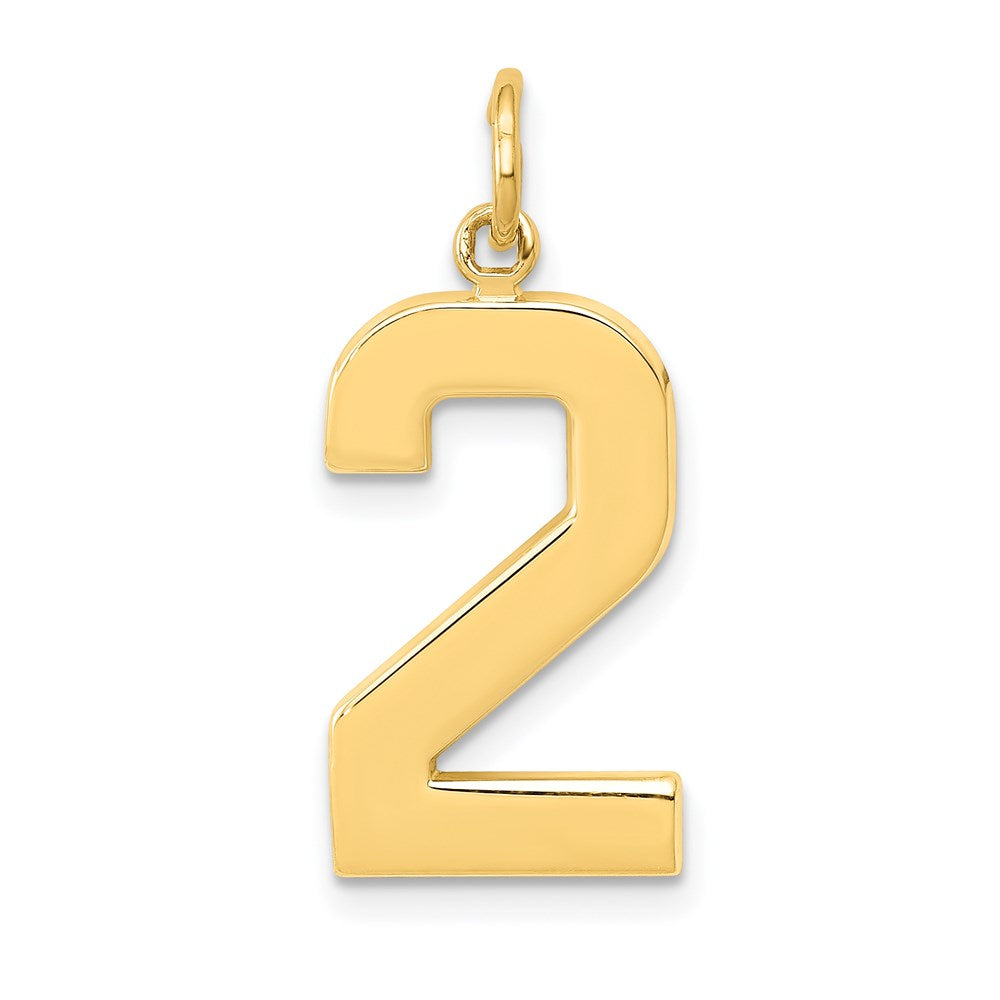 14k Yellow Gold  Large Polished Number 2 Charm