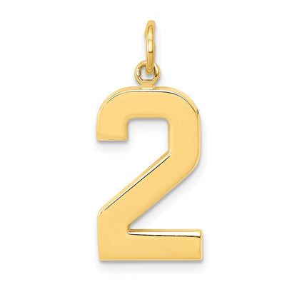 14k Yellow Gold  Large Polished Number 2 Charm