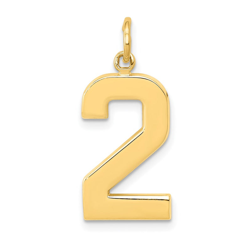 14k Yellow Gold  Large Polished Number 2 Charm