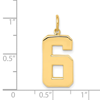 14k Yellow Gold  Large Polished Number 6 Charm