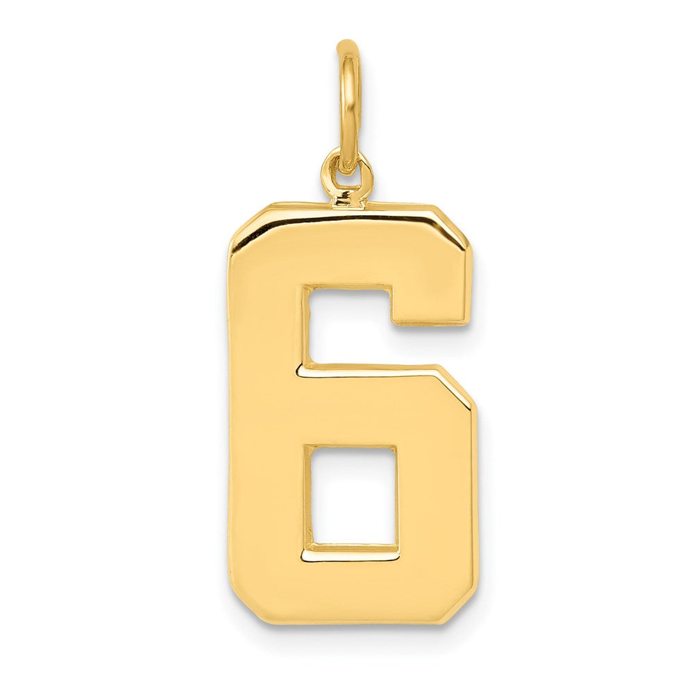 14k Yellow Gold  Large Polished Number 6 Charm