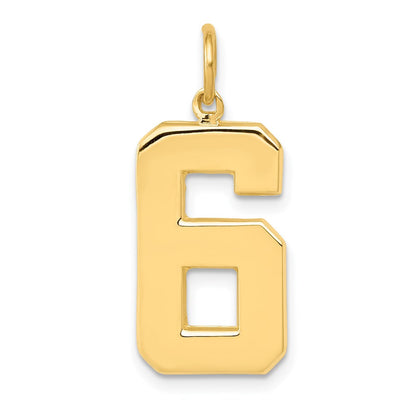 14k Yellow Gold  Large Polished Number 6 Charm