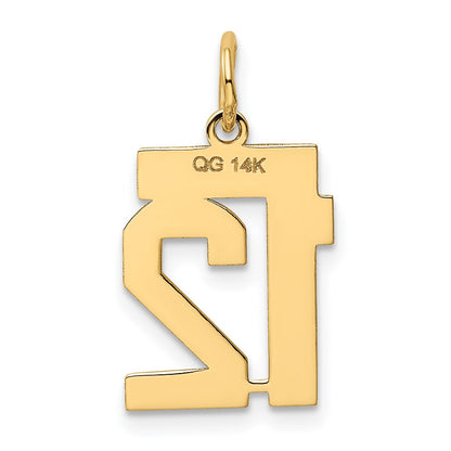 14k Yellow Gold Small Polished Number 12 Charm