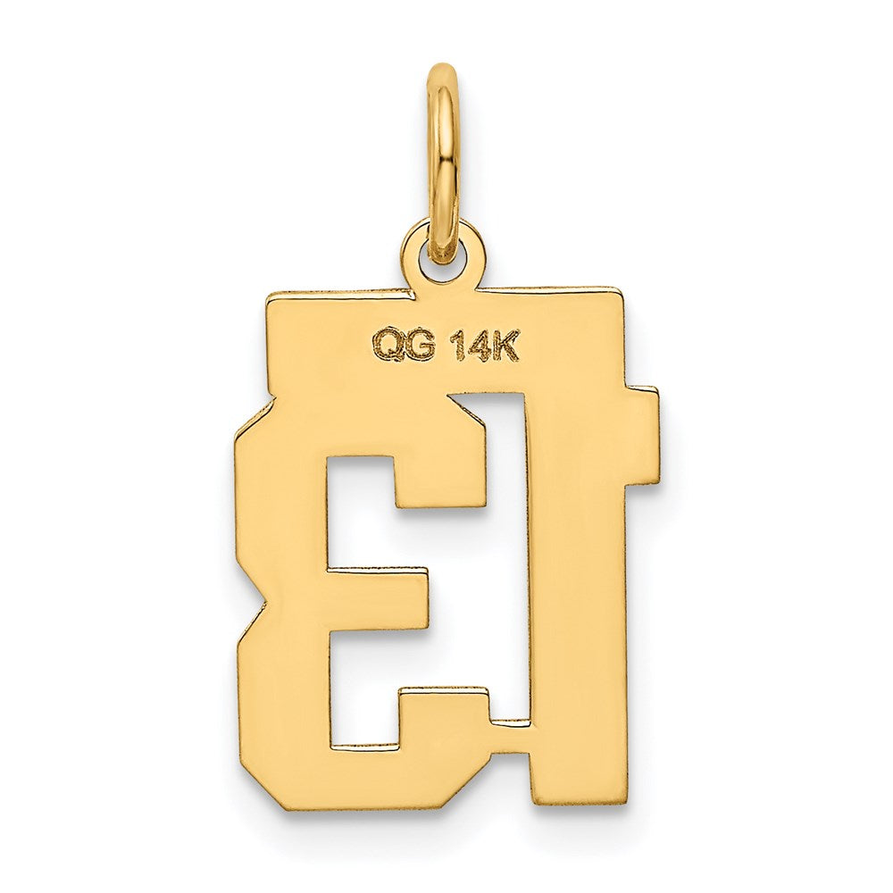 14k Yellow Gold Small Polished Number 13 Charm
