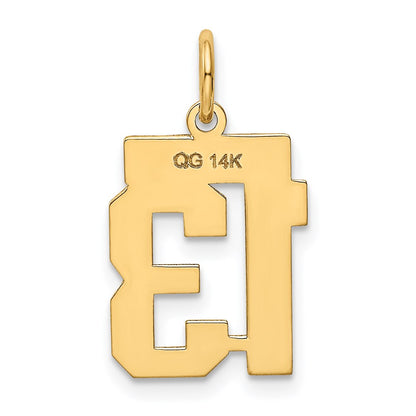 14k Yellow Gold Small Polished Number 13 Charm