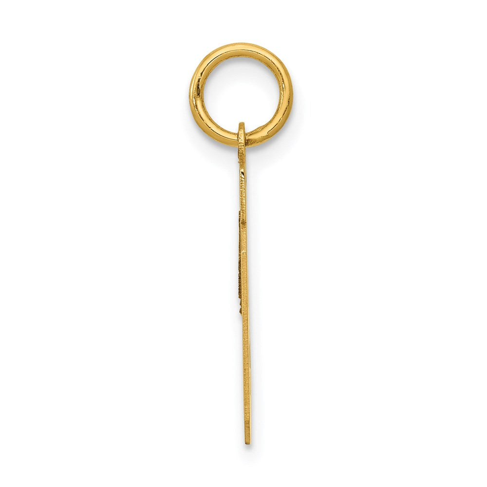 14k Yellow Gold Small Polished Number 19 Charm