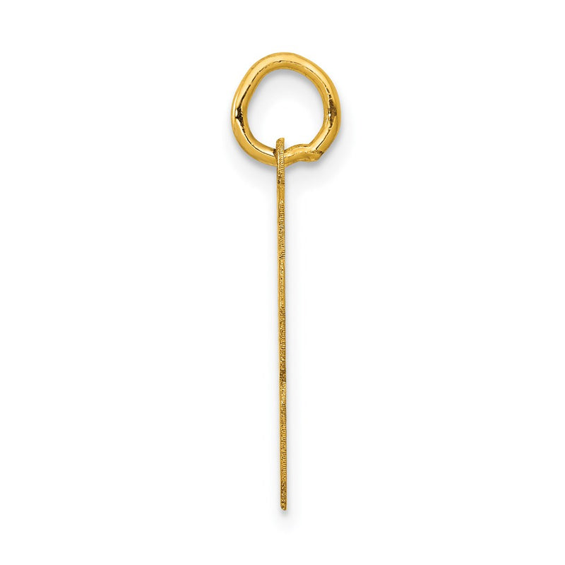 14k Yellow Gold Small Polished Number 28 Charm