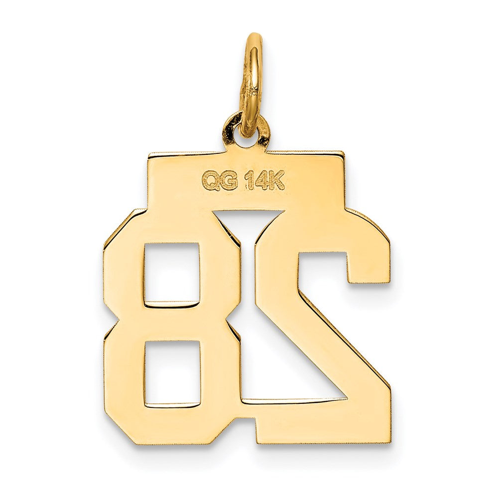 14k Yellow Gold Small Polished Number 28 Charm