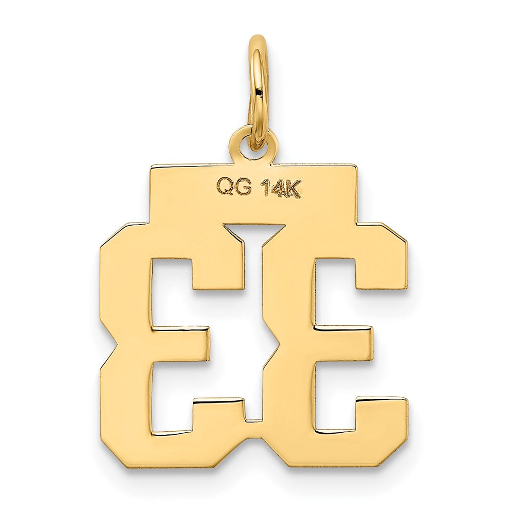 14k Yellow Gold Small Polished Number 33 Charm