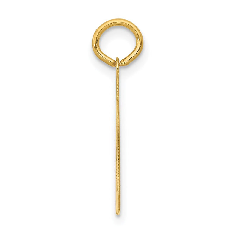 14k Yellow Gold Small Polished Number 39 Charm