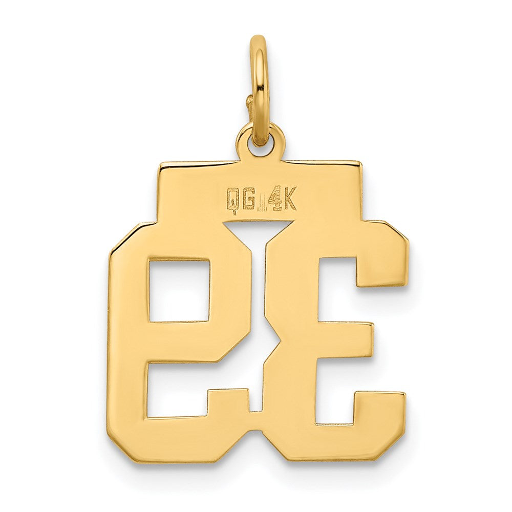 14k Yellow Gold Small Polished Number 39 Charm