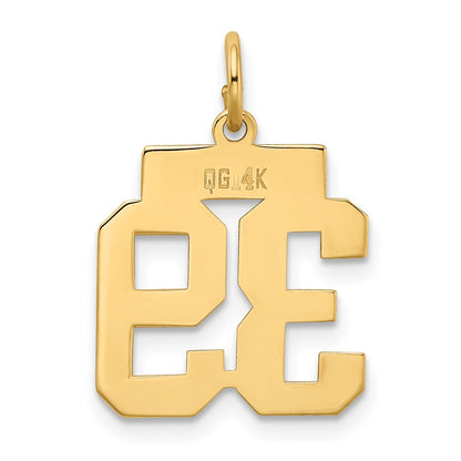 14k Yellow Gold Small Polished Number 39 Charm