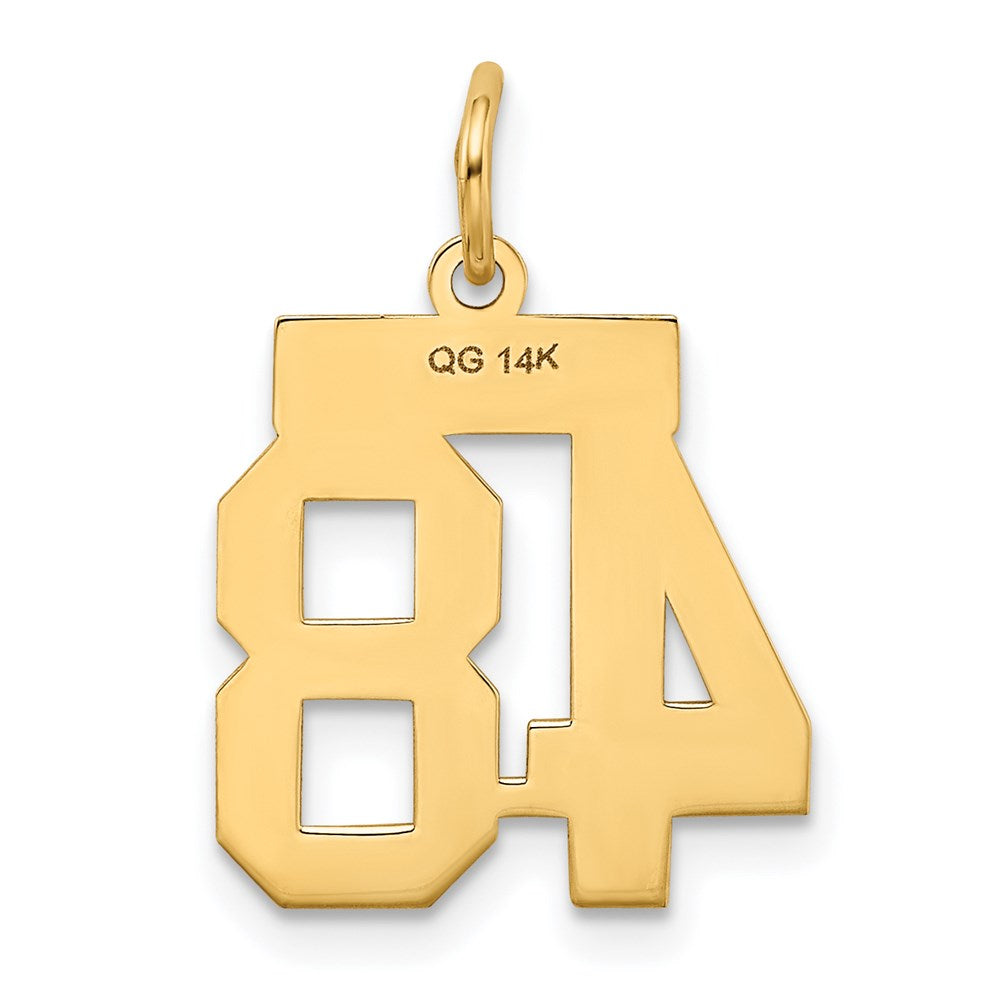 14k Yellow Gold Small Polished Number 48 Charm