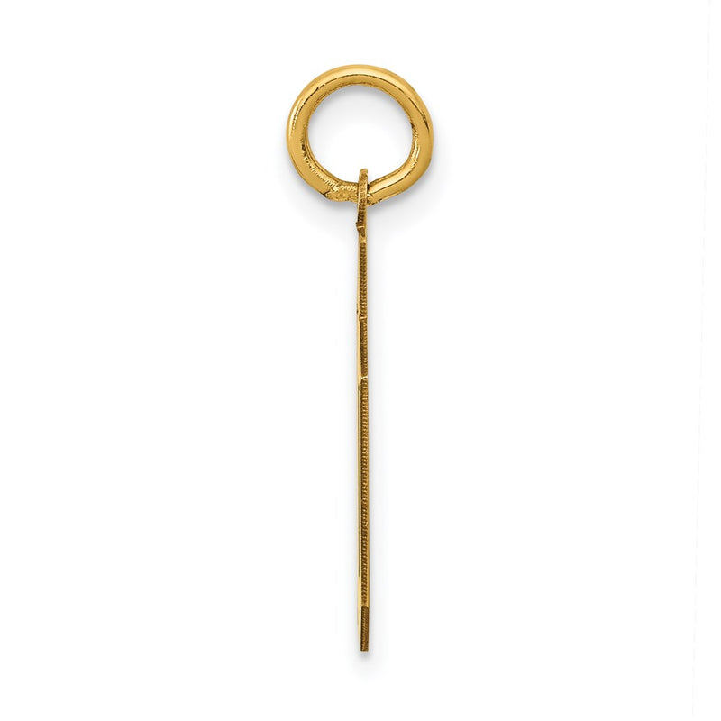 14k Yellow Gold Small Polished Number 50 Charm