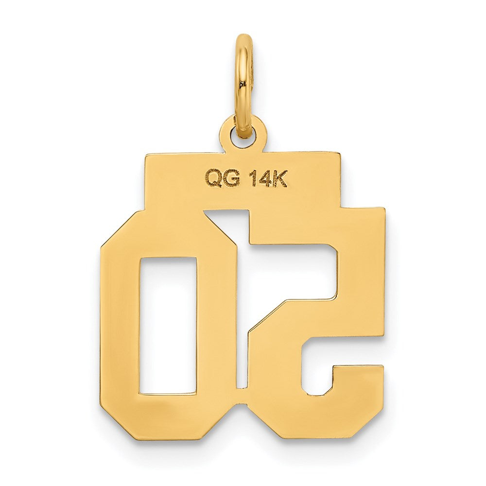 14k Yellow Gold Small Polished Number 50 Charm