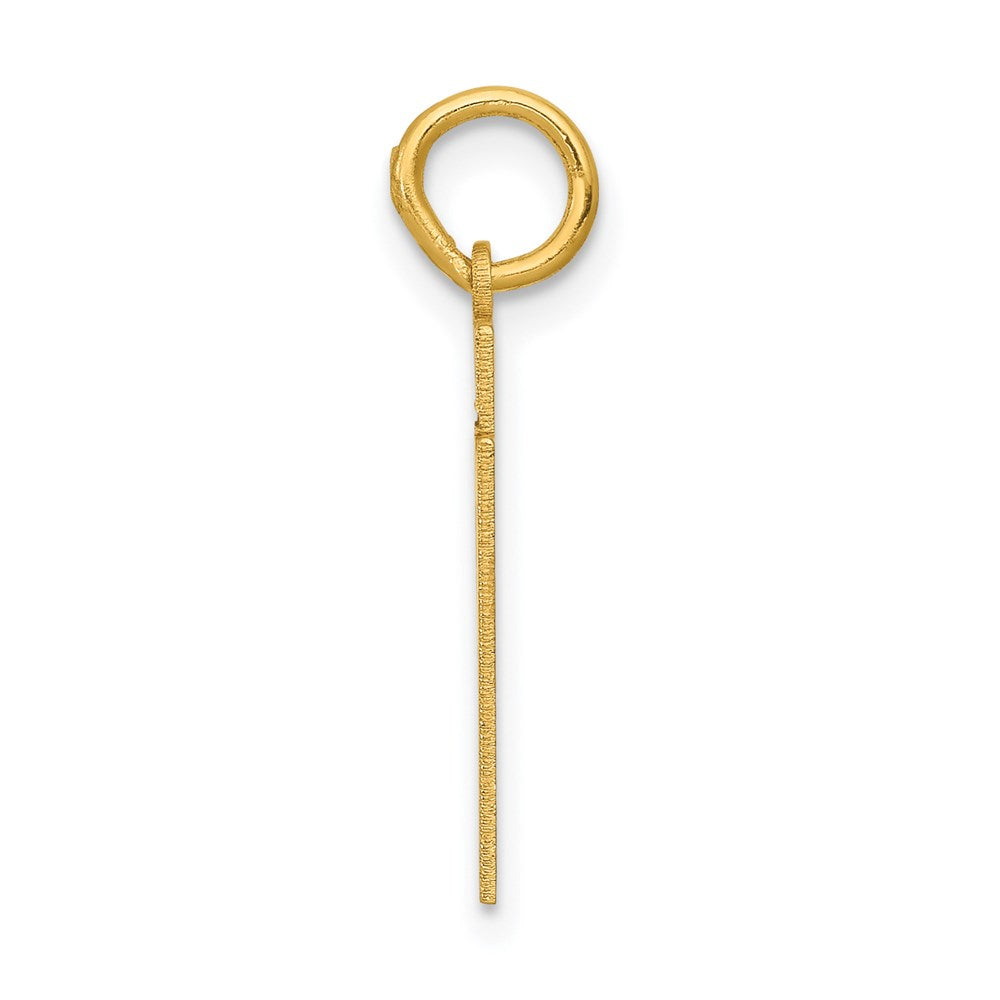 14k Yellow Gold Small Polished Number 51 Charm
