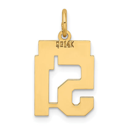 14k Yellow Gold Small Polished Number 51 Charm