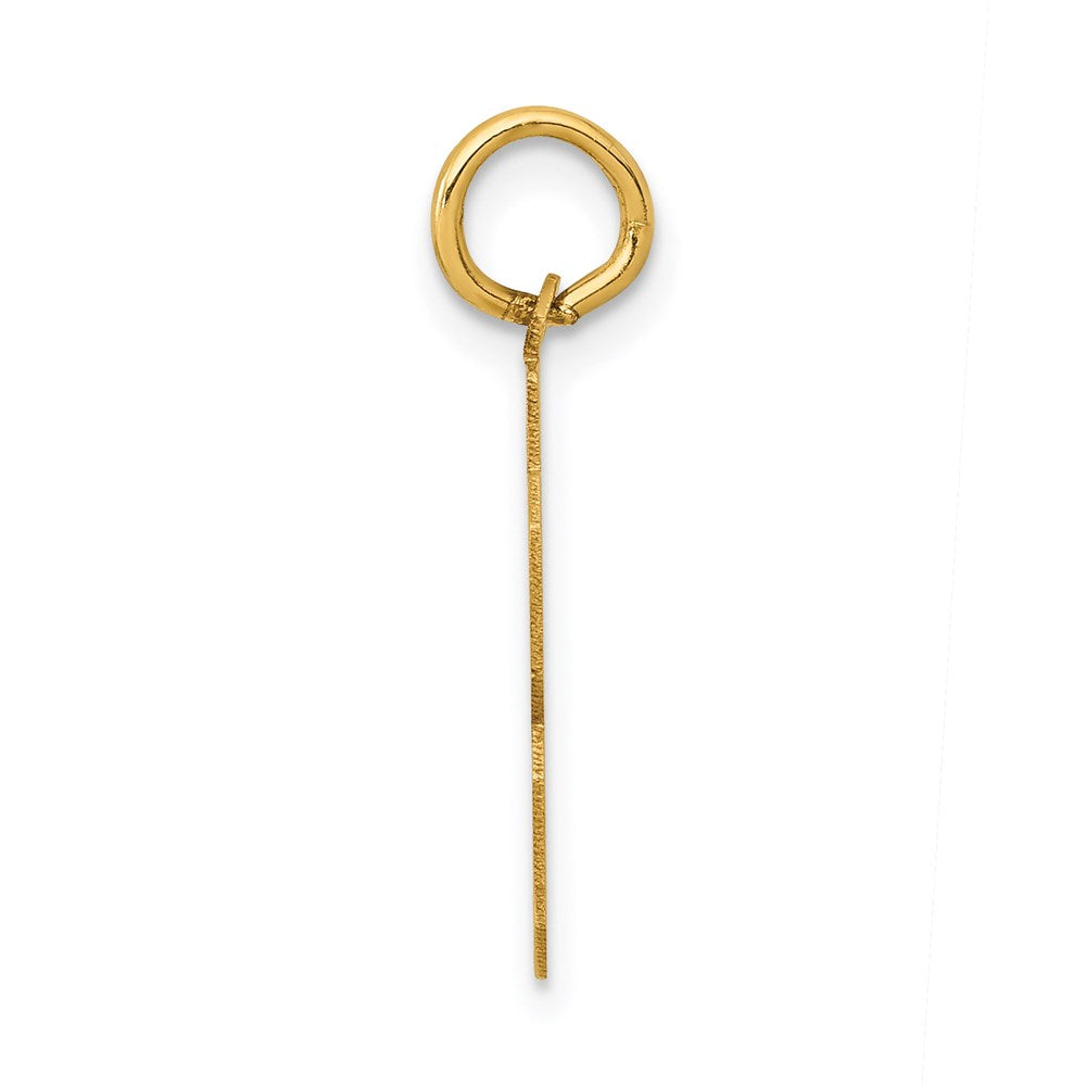 14k Yellow Gold Small Polished Number 53 Charm
