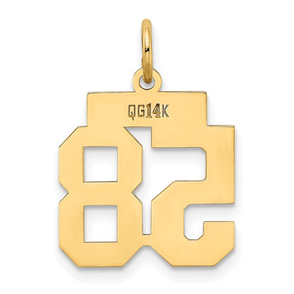 14k Yellow Gold Small Polished Number 58 Charm