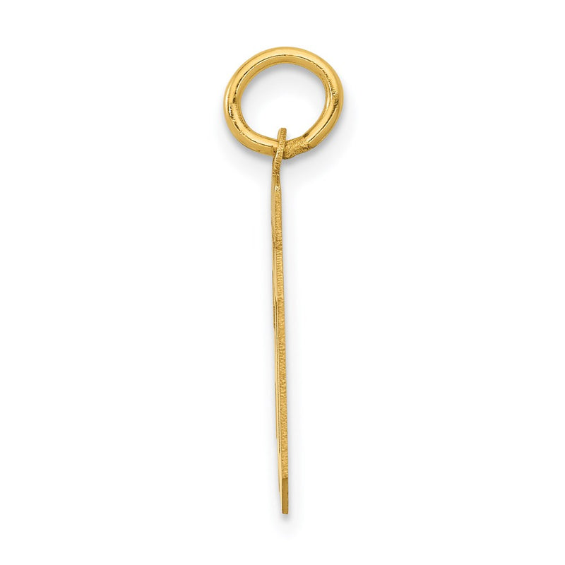 14k Yellow Gold Small Polished Number 60 Charm