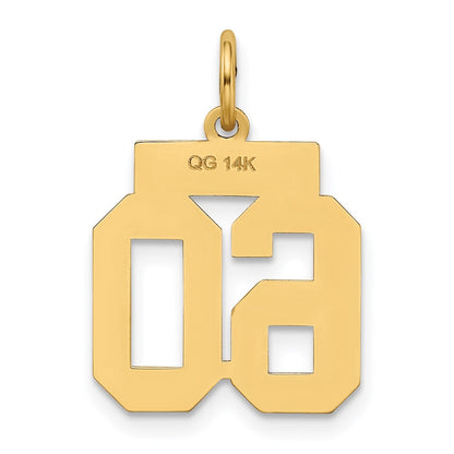 14k Yellow Gold Small Polished Number 60 Charm