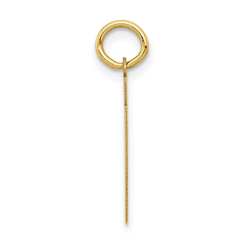 14k Yellow Gold Small Polished Number 61 Charm
