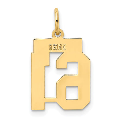 14k Yellow Gold Small Polished Number 61 Charm