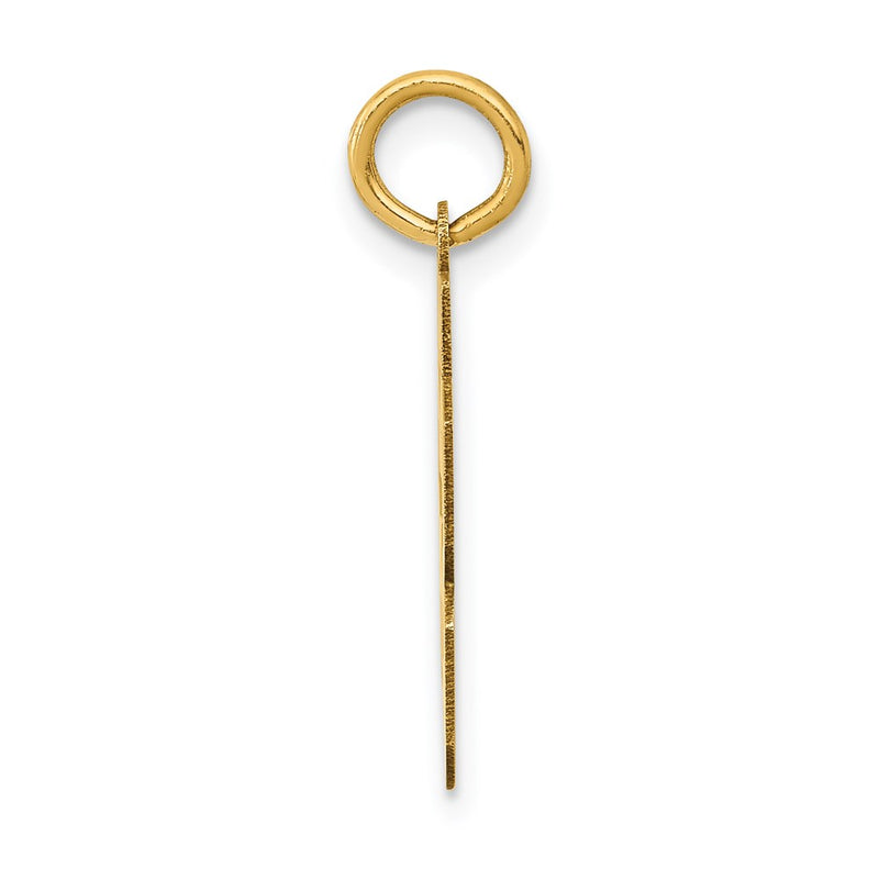 14k Yellow Gold Small Polished Number 63 Charm