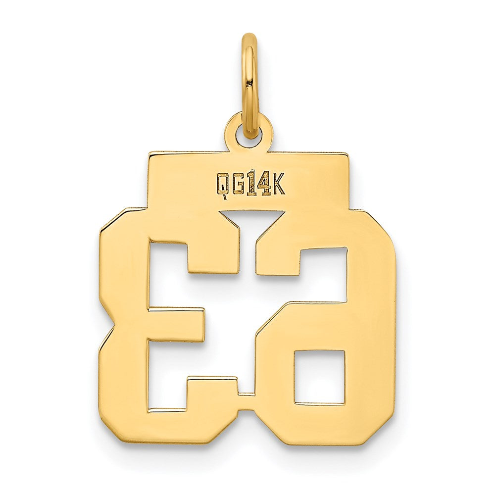 14k Yellow Gold Small Polished Number 63 Charm
