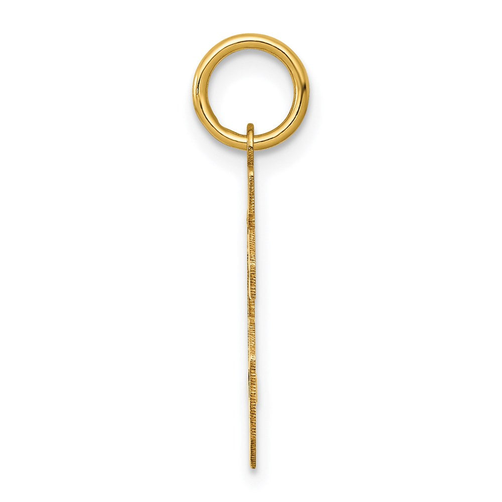 14k Yellow Gold Small Polished Number 96 Charm