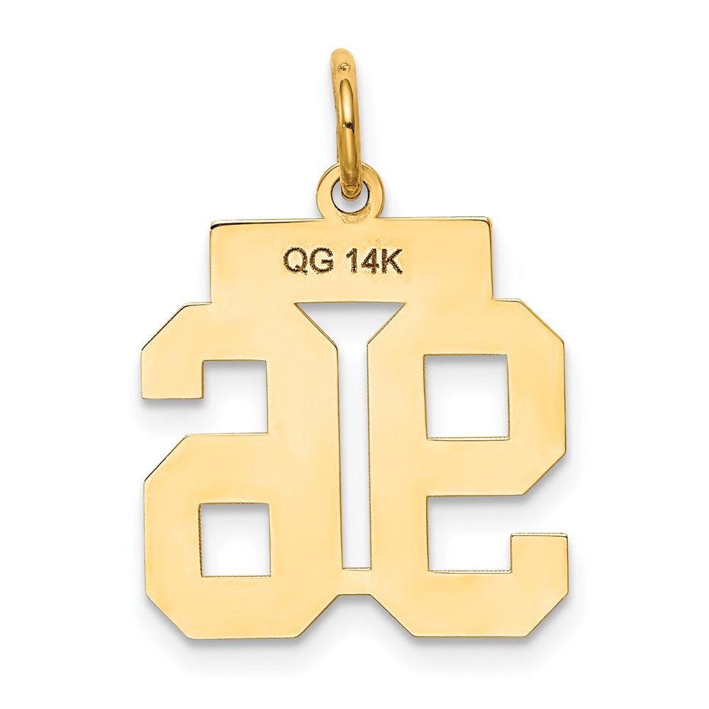 14k Yellow Gold Small Polished Number 96 Charm