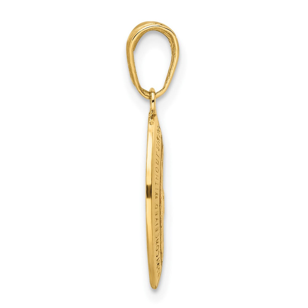 14k Yellow Gold Red Enameled Miraculous Medal Pendant