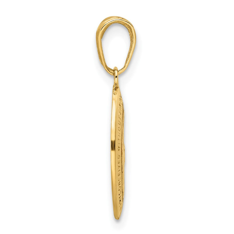 14k Yellow Gold Red Enameled Miraculous Medal Pendant