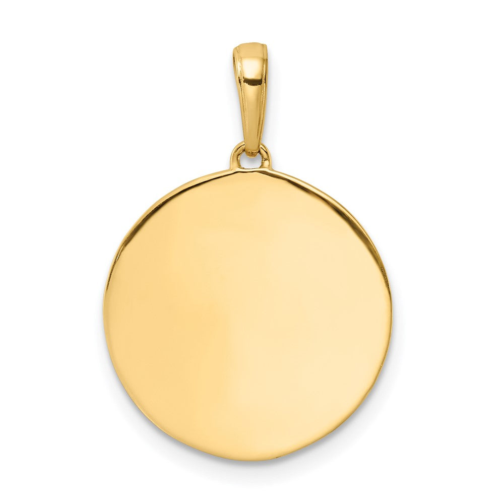14k Yellow & Rhodium Gold w/ White Rhodium Diamond-cut IT'S A GIRL Round Disc Pendant