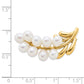 14k Yellow Gold Polished Cluster 5-6mm White Rice Freshwater Cultured Pearl Pin Brooch