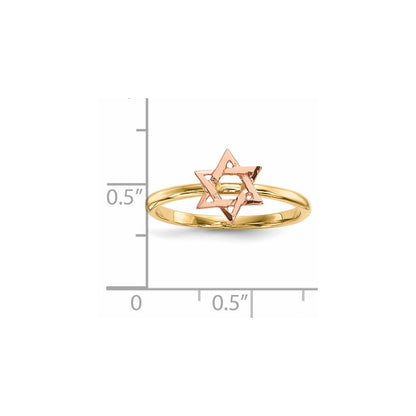 14k Two-Tone Gold Polished Star of David Ring