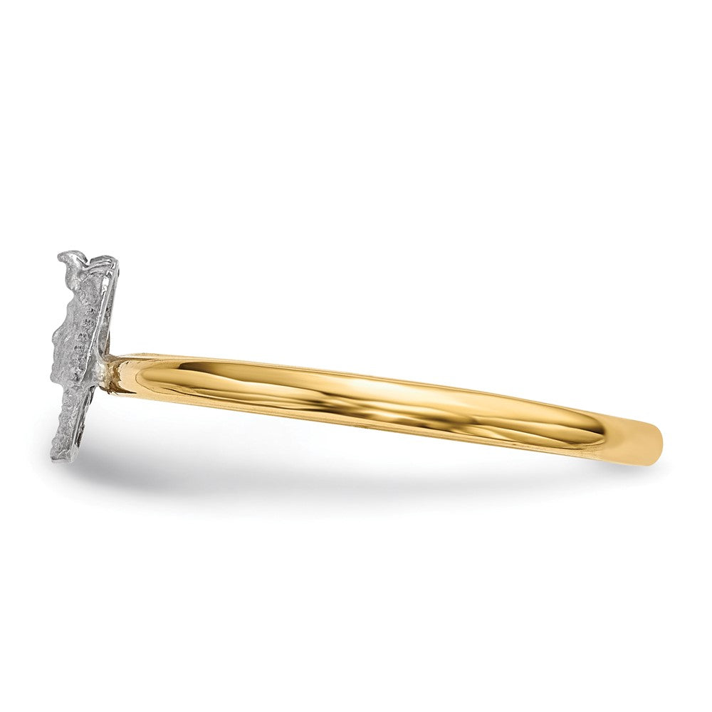 14k Two-Tone Gold Polished and Satin Pharaoh Ring