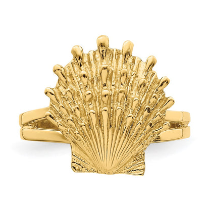 14K Yellow Gold Lion's Paw Shell Ring