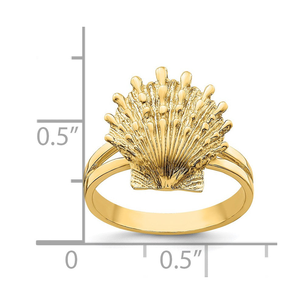 14K Yellow Gold Lion's Paw Shell Ring