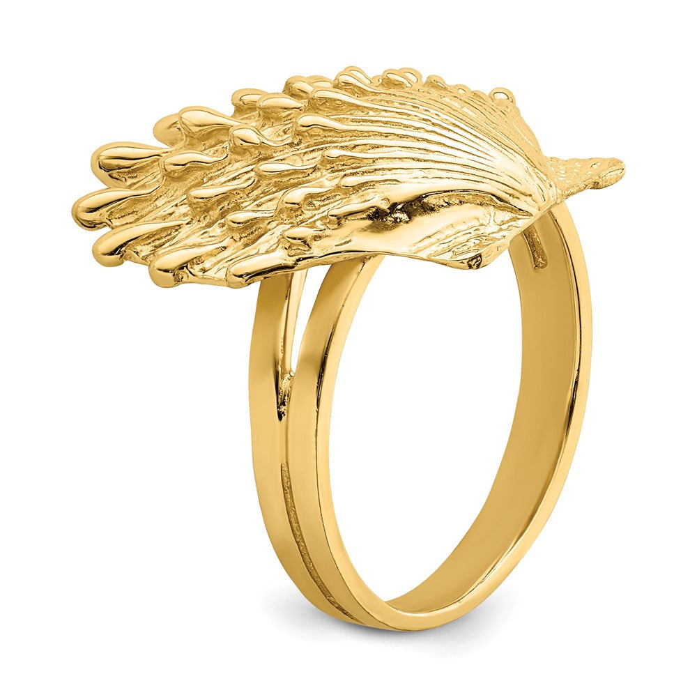 14K Yellow Gold Lion's Paw Shell Ring