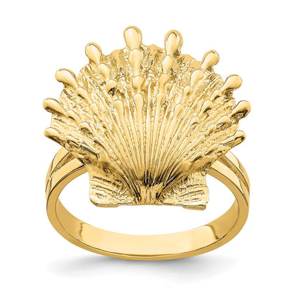 14K Yellow Gold Lion's Paw Shell Ring